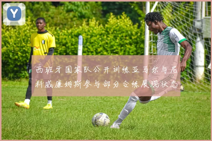 西班牙国家队公开训练亚马尔与尼科威廉姆斯参与部分合练展现状态